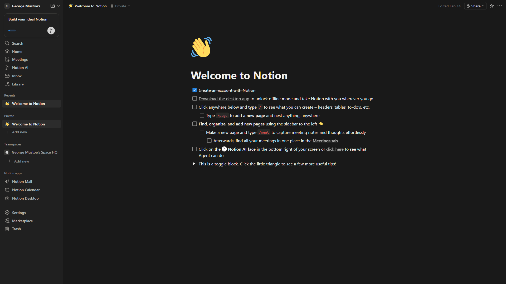 Notion workspace showing a chiropractic practice documentation hub with SOPs and patient resources