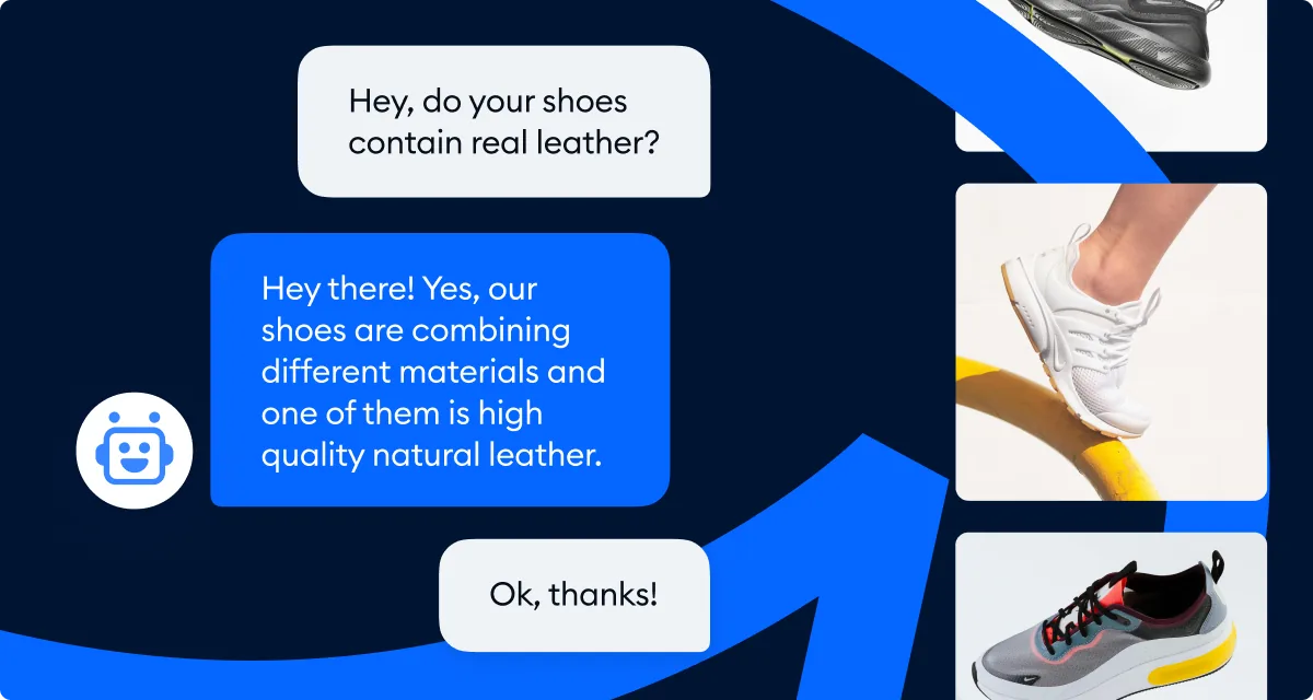 Tidio Lyro AI Example Conversation